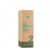 Mascarilla Especifica Grasa (Маска для жирной кожи головы), 200 мл