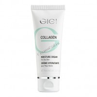 Ce moisturizer (Крем увлажняющий), 250 мл