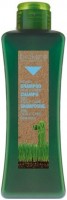 Honey Shampoo Scalp Care (Медовый шампунь) 