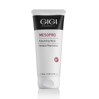 MesoPro Rebuilding mask (Маска регенерирующая)