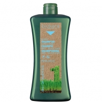 Honey Shampoo Scalp Care (Медовый шампунь) 