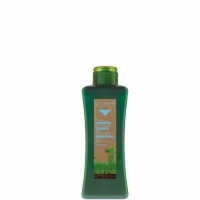 Honey Shampoo Scalp Care (Медовый шампунь) 