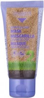 Biokera Grapeology Mask (Маска с маслом виноградной косточки), 50 мл