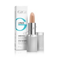 Lip cover stick (Тональный карандаш лечебный), 4 гр