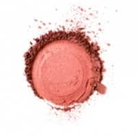 WOW Blush (Румяна для лица), 8 гр