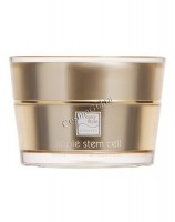 Apple stem cell rejuvenating face night cream (Лифтинговый ночной крем для лица «аpple stem cell»)