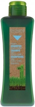 Honey Shampoo Scalp Care (Медовый шампунь) 
