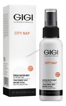 City NAP Fresh Water Mist (Лосьон спрей для лица «Водяной туман»), 100 мл